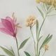 Olliix by Madison Park Blooming Traces Floral 4 Pieces Multi UV Printed Shadowbox Wall Art Set-4