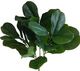 A & B Home 4-Piece Green Feedle Leaf Branch Set-2