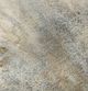 Dalyn™ Rug Company Odyssey OY5 Taupe 5'x8' Area Rug-5