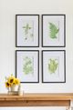 A & B Home 4-Piece Black/Green/White Fern Wall Art Set-5