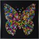 Harp & Finial® Papillion Butterfly Framed Wall Art-0