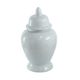 A & B Home Glossy White Ginger Jar-0