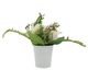A & B Home Cream Hydrngea in Tin Pot-0