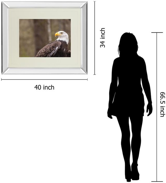 Classy Living Garytog Majestic Eagle Wall Art-2