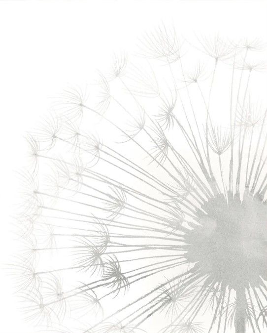 Classy Art Dandelion Whisper II by Grace Popp Wall Art-1