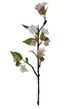A & B Home Cream/Green Faux Apple Blossom Stem-0