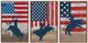 Crestview Collection Aint My First Rodeo 3-Piece Hand Finished Wall Art Set-0