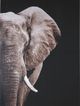 Signature Design by Ashley® Jendayi Black/White/Gray Wall Art-0