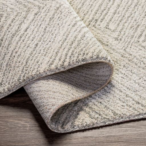 Surya Gavic Charcoal/Cream 8'x10' Area Rug-2
