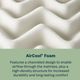BeautySleep® Soothing Nights 12" Pocketed Coil Plush Pillow Top Queen Mattress in a Box-3