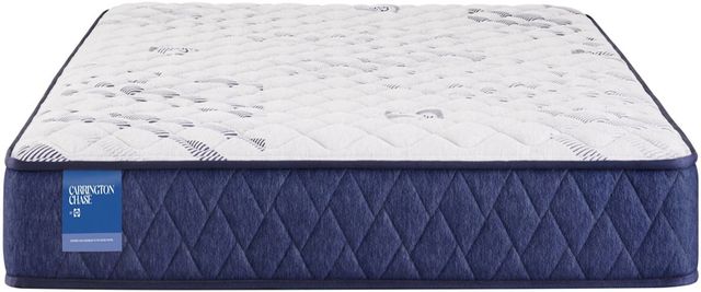 Sealy® Carrington Chase Resting Manor 7" Foam Medium Tight Top Twin XL Mattress-2