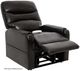Mega Motion® Trio Piccolo Lexi Chestnut Power Lift Recliner-1