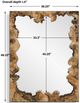 Uttermost® Abraham Tamarind Mirror-1