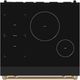 Thor Kitchen® Gordon Ramsay Collection 30" Black Pro Style Induction Range with Tilt Panel Touch Control and Bronze Trim-5