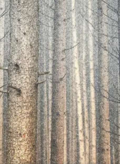 Stylecraft Forest Dreaming I Black/Light Brown/Light Gray Wall Art -1