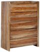 Signature Design by Ashley® Dressonni Brown Chest-0