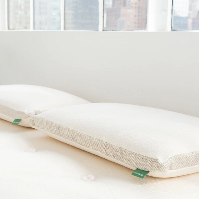 Avocado Molded Latex Medium Firm Queen Pillow-1