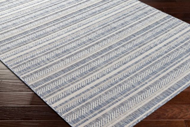 Surya Eagean Navy/Taupe 4'x6' Area Rug-2