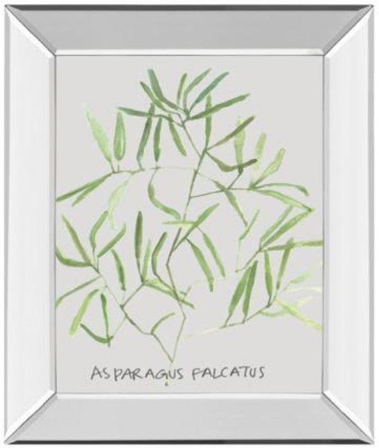 Classy Living Katrien Soeffers Asparogus Falcatus Wall Art-0