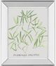 Classy Living Katrien Soeffers Asparogus Falcatus Wall Art-0