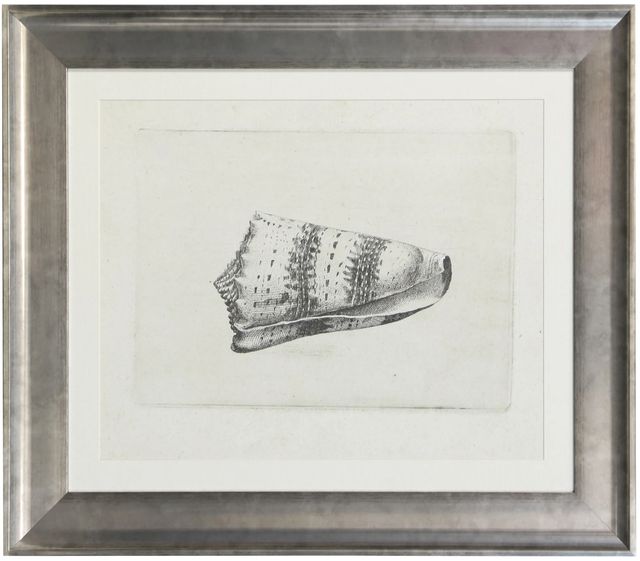 Stylecraft Turban Shell Wall Art-0