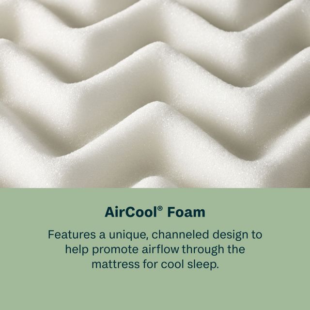 BeautySleep® Dream Weaver™ 14.25" Pocketed Coil Ultra Plush Pillow Top Queen Mattress-9