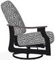 Telescope Casual St. Catherine Agra Classic/Black Aluminum/Fabric Outdoor MGP Cushion Swivel Rocker with Boardwalk Rustic Arms-2