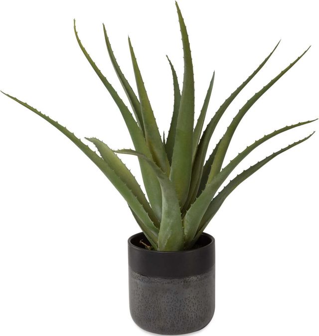 Uttermost® Tucson Gloss Glaze Aloe Planter-2