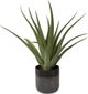 Uttermost® Tucson Gloss Glaze Aloe Planter-2