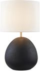 Forty West Dex Black Table Lamp-2