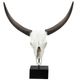 A & B Home Black/White Cow Skull-0