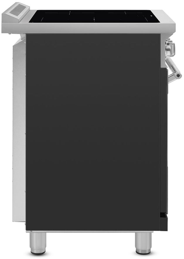 Smeg Professional 20" Matt Black Freestanding Induction Range-1