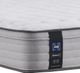Sealy® Posturepedic® Garner II Innerspring Soft Faux Euro Top Twin Mattress-2