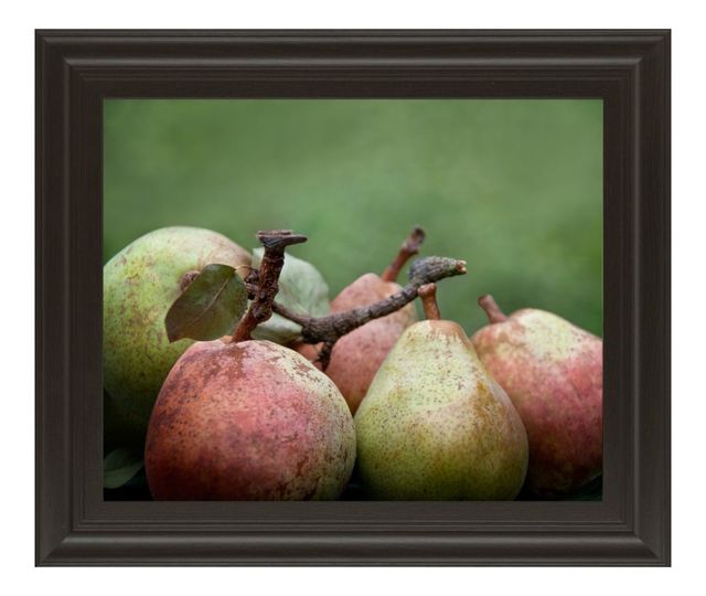 Classy Living Rachel Perry Comice Pear Il Wall Art-0