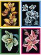 Crestview Neon Garden 4-Piece Canvas Wall Art Set-0