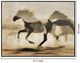 Classy Living Wildhearted Galloping Shadows Wall Art-2