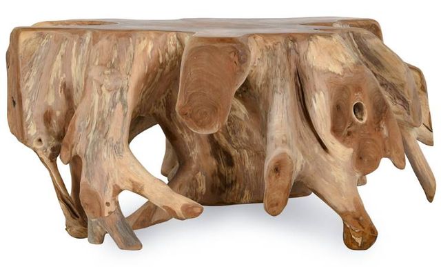 Classic Home Cypress Natural Root Coffee Table-1