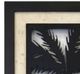 StyleCraft Perfect Palm II Beige/Black/White Framed Wall Art-1