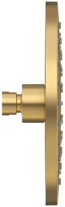 American Standard Studio® Brushed Cool Sunrise Water-Saving Rain Showerhead-2