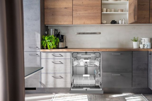Sharp® 24" Stainless Steel Front Control Built In Dishwasher-7