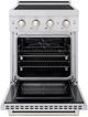 ZLINE Paramount 24" Stainless Steel Pro Style Induction Range-1