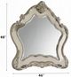 ACME Furniture Ragenardus Antique White Mirror-2
