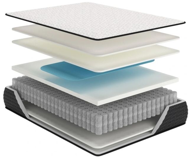 Sierra Sleep® By Ashley® Limited Edition 12" Gel Memory Foam Plush Tight Top Twin XL Mattress in a Box-2