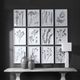 Uttermost® by Grace Feyock Contemporary Botanicals 12-Piece Monochromatic Framed Prints-2