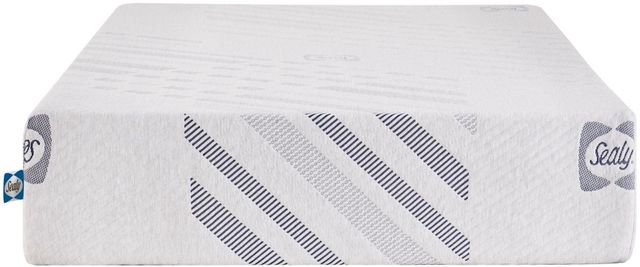 Sealy® Carrington Chase Murry Hill 10" Foam Medium Tight Top Double Mattress-2