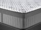 Spring Air® Back Supporter Michelle 16.5" Hybrid Firm Tight Top Queen Mattress-1