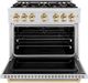 ZLINE Classic Autograph Edition 36" Satin Stainless Steel Pro Style Dual Fuel Range with Polished Gold Accents-1