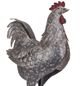 A & B Home Iron Antique Gray Hen-1