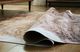 Signature Design by Ashley® Sportsmen Gray Medium Area Rug-1