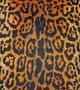 StyleCraft Dann Foley Cheetah Large Pillow-1